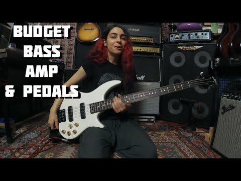 Budget Bass Setup (With Pedalboard)