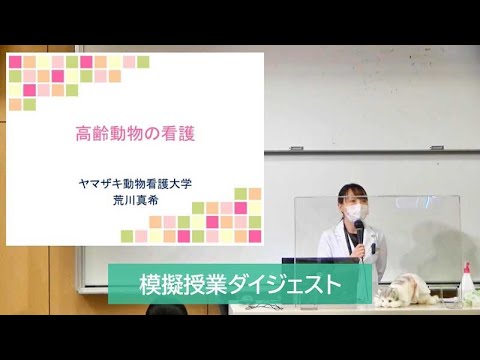 模擬講義「高齢動物の看護」　＜ダイジェスト版＞