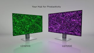 Video 0 of Product Dell UltraSharp U2421HE 24" Monitor