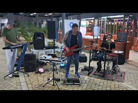 TIGRAO  DA FLORESTA DO ARAGUAIA