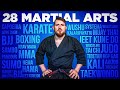 What I Learned From 28 Martial Arts