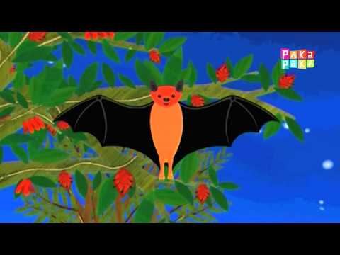 Animapaka II: Murciélago (Cap. 5) - Canal Pakapaka