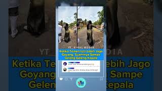Download lagu Suami Sampe Geleng Geleng Kepala, Liat Teman Istrinya Goyang #pengantin #temanistri #shorts mp3