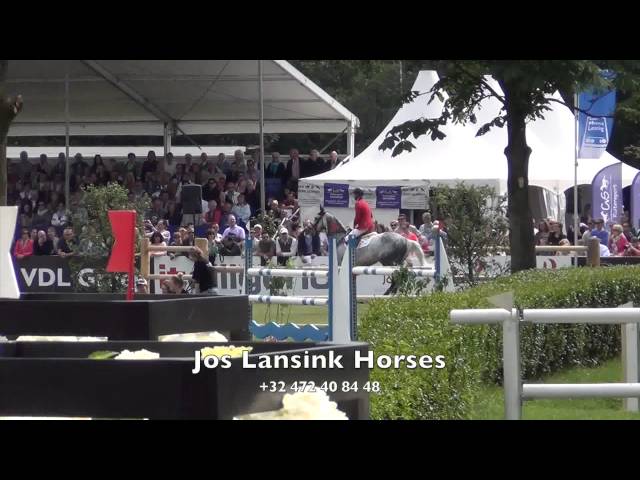 The half-brother of the mother of this frozen embryo is the Approved CSI 1.60 jumping Stallion Virtuose d hyrencourt with rider Jos Lansink.