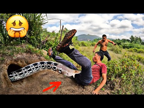 2 Brave Expert Catch 100 Giant Snakes By Hand