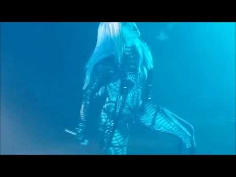 Arch Enemy - Stolen Life   ...the Palladium, Worcester 11/4/17