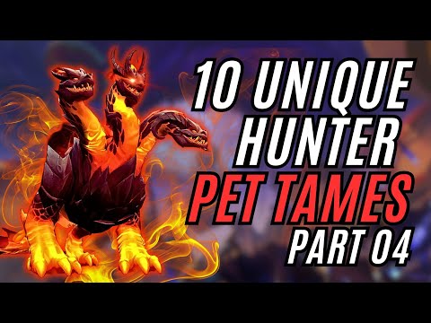 10 UNIQUE Hunter Pet Tames | Patch 12.0 | World of Warcraft | Midnight