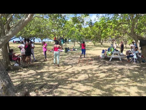 Errol Barrow Day activities in the Botanical Gardens