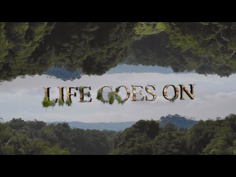 J JEY - Life Goes On ft. GR Yunk (Official Music Video)