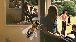 Pink Floyd - Ummagumma radio ad ( mini-film )