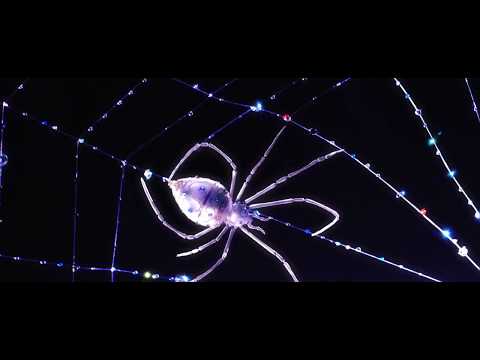 weaving trailer