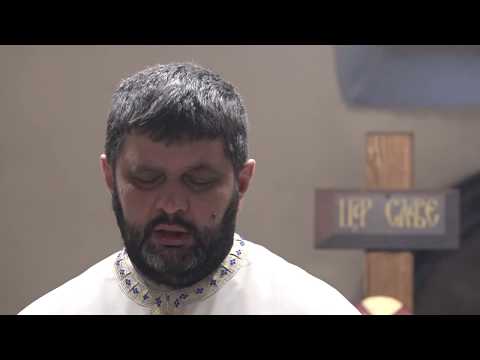 Boja meda ep. 105 10.03.2020. Protojerej Perica Božunović, količina poklopljenog meda