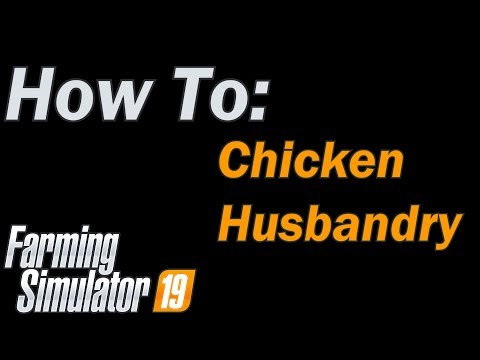 Chickens Cannot Produce Eggs Farming Simulator 19 General