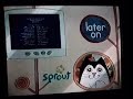 PBS Kids Sprout Later On Next Bumper James The Cat To Sagwa 2006 Low Quality