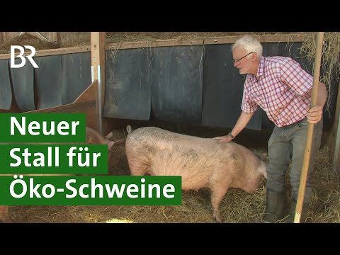 , title : 'Innovativer Tierwohl-Schweinestall für Öko-Schweine nach Stallbrand | Schwein Doku | Unser Land | BR'