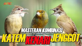 Download lagu MASTERAN KOMBINASI KAPAS TEMBAK - KENARI - CUCAK JENGGOT mp3