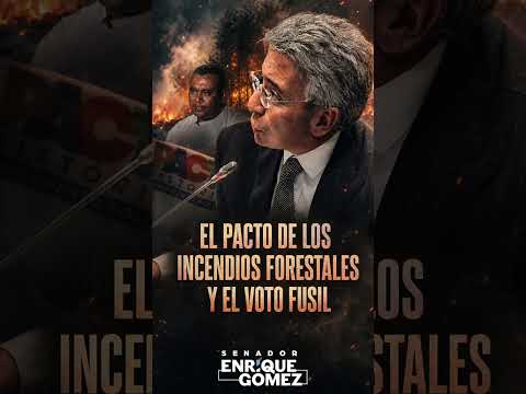 Los incendios del Tolima son hechos por las FARC.