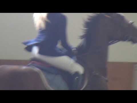 Horse Gym's Cascarda (*2008 v. Chambertin) - 13.10.2017 Blonhofen - Punkte SPR M*