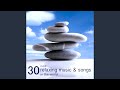 Waterfall Sounds (Distant Memory)