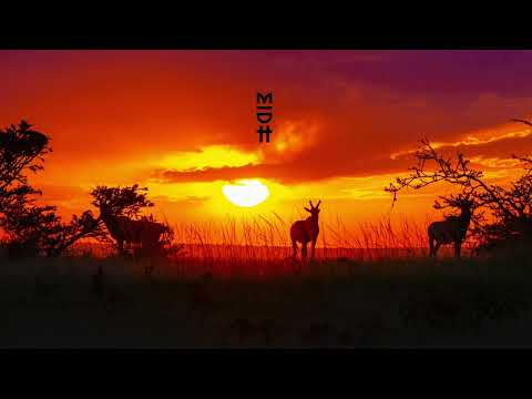 Deep Narratives - Umsindo