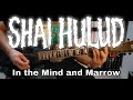Shai Hulud - In the Mind and Marrow [Misanthropy Pure #6] (Guitar Cover)