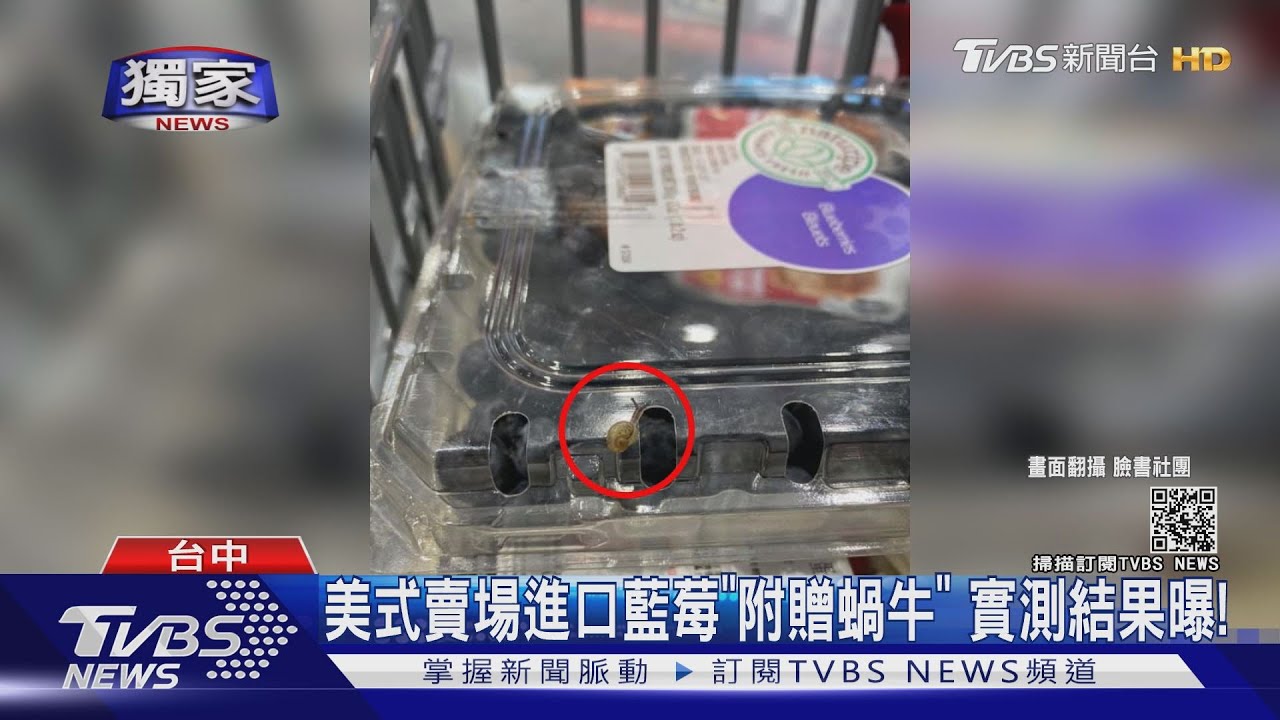 美式賣場進口藍莓「附贈蝸牛」 實測結果曝!