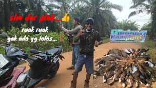 Download lagu gak kasi lepas ruak ruakny... A slug heat shot ruak ruak⭕ ngeri...😱😱 mp3