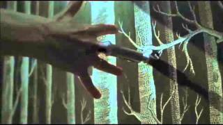 Guilty Machine Leland Street