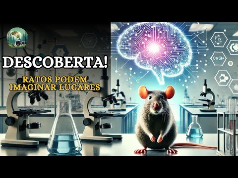 TUDO SOBRE RATOS: MAIS INTELIGENTES DO QUE IMAGINAMOS? DESCUBRA AS CAPACIDADE DOS RATOS!