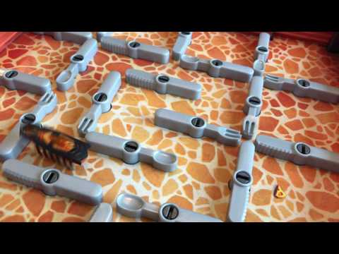 ゴキブリキッチン ボードゲーム Kakerlakak