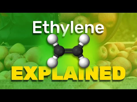 Ethylene Explained
