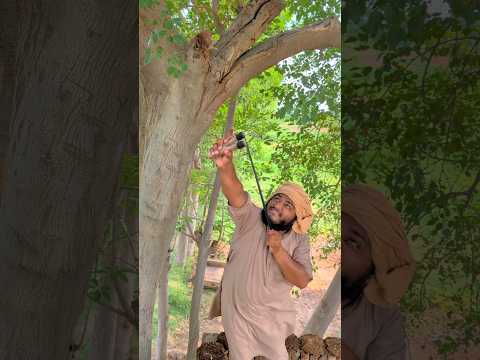 Bache NY birds ko bacha Lia 3 🦜😥 #shorts