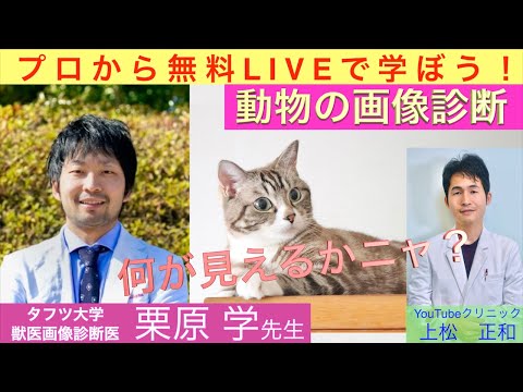 植物ベースの「死体探知犬」: 法医学者が人間の骨格をより迅速に発見する方法