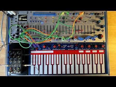 Playing Buchla Music Easel & MOOD MKII : Portrait of Authoritarianism 2025-08-23 by atnr