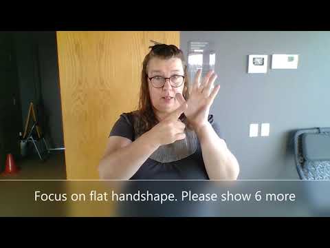 How to Sign Palm in Auslan