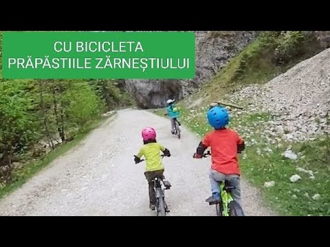 Prapastiile Zarnestiului - descent by bike to Botorog's Fountain