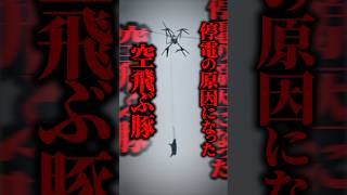 【中国】豚をドローンで空輸！？→まさかの電線に引っかかり約10時間の大停電に... #shorts