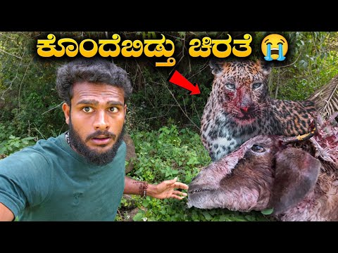 Avatar Shiva Vlogs and Avatar Shiva Official