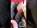 Ivrea Lice Shampoo Headliceremoval Licetreatment
