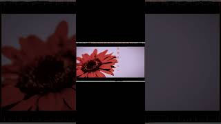 【#盗作】【#ヨルシカ】【#shorts】【#永久機関】  #盗作 #ヨルシカ  プロフよりYouTube fullへ飛べます！ #初音ミク #anime  #hatsunemiku