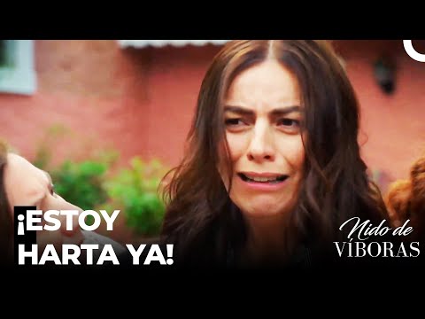 Sefika Tuvo Un Ataque De Nervios - Nido De Víboras