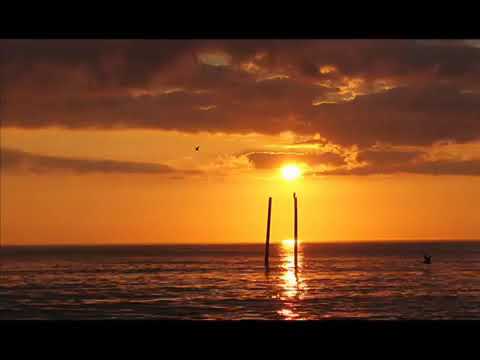 David Lela clipe ce-mi spun ca intr-o zi!