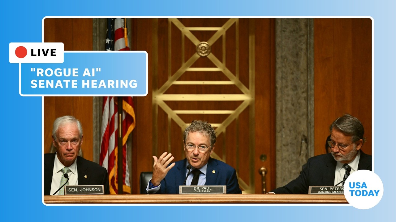Live: Homeland Security Senate hearing examines 'Rogue AI'