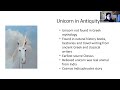 Legend Chasers Series: Unicorns