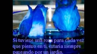 Sin Bandera - Amor real