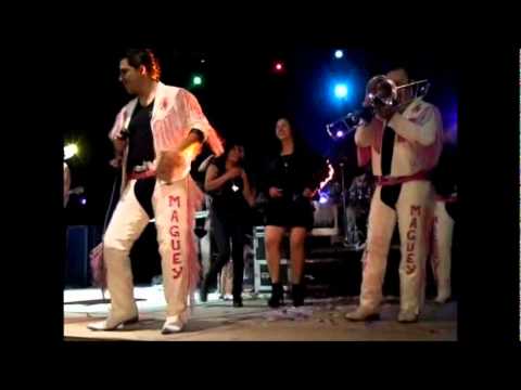 Fiesta En El Maluco Michoacan