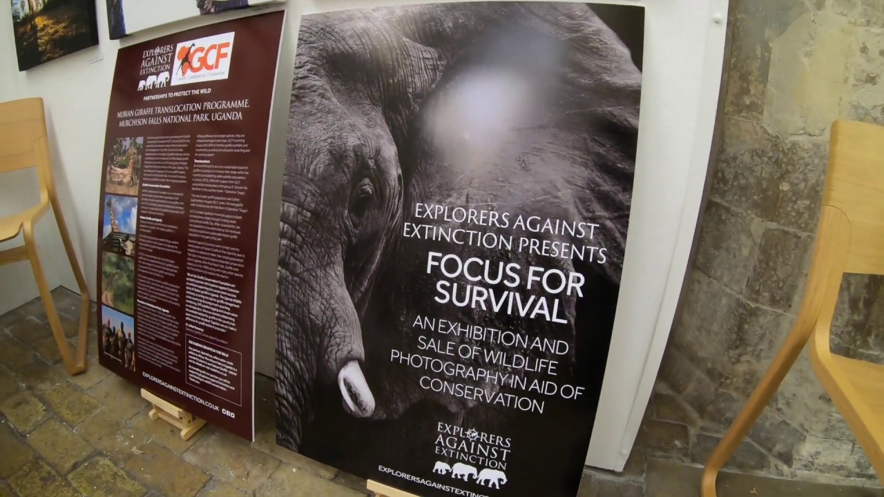 Explorers Against Extinction Sketch For Survival Exhibition - The Crypt Gallery Norwich