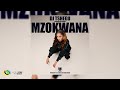 Dj Tshegu Ft. Sims Noreng - Mzokwana (Official Audio)