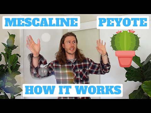 How Does Peyote Work? | The Science of Mescaline