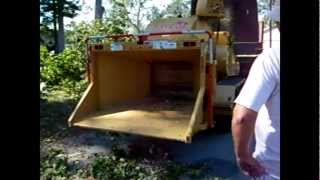 preview picture of video 'Tree Service Ormond Beach Fl,Ormond Beach Tree Services,Ormo'